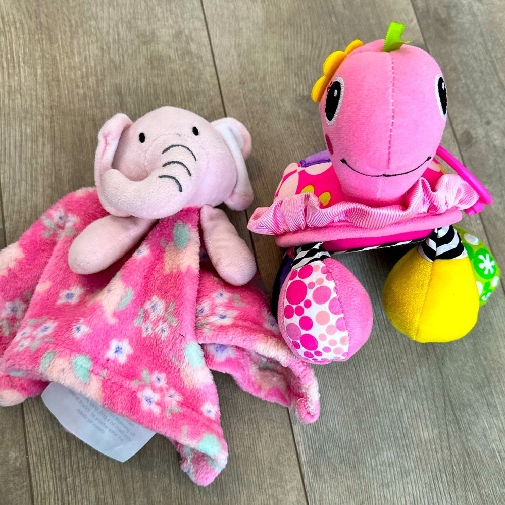 Baby Girl Security Blanket & Large Infantino Mirror sensory Toy
Euc
